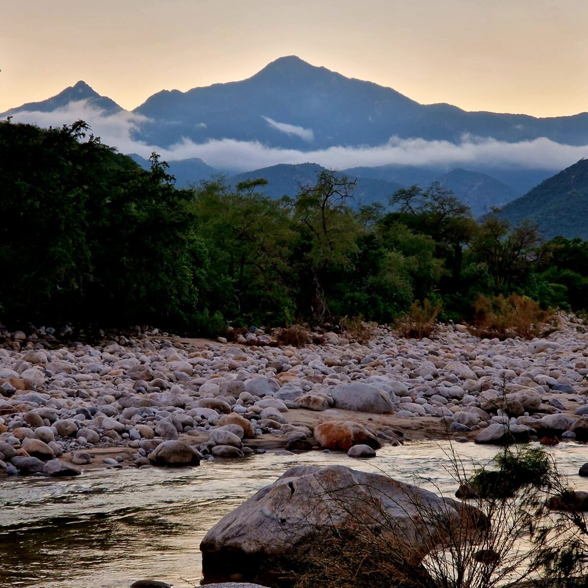 Iboga Retreat, Baja River, Forest, Mountain