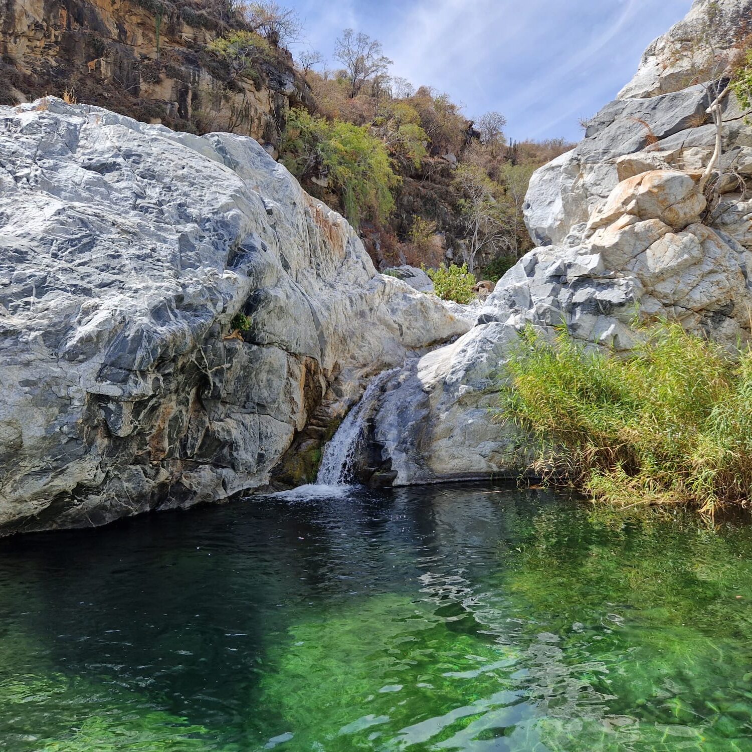 green creek, Iboga-Retreat, Baja
