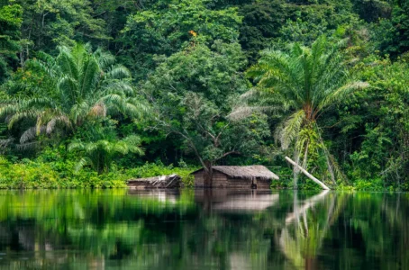 A traditional riverside dwelling surrounded by rainforest in Central Africa, reflecting the communities who have long tended iboga