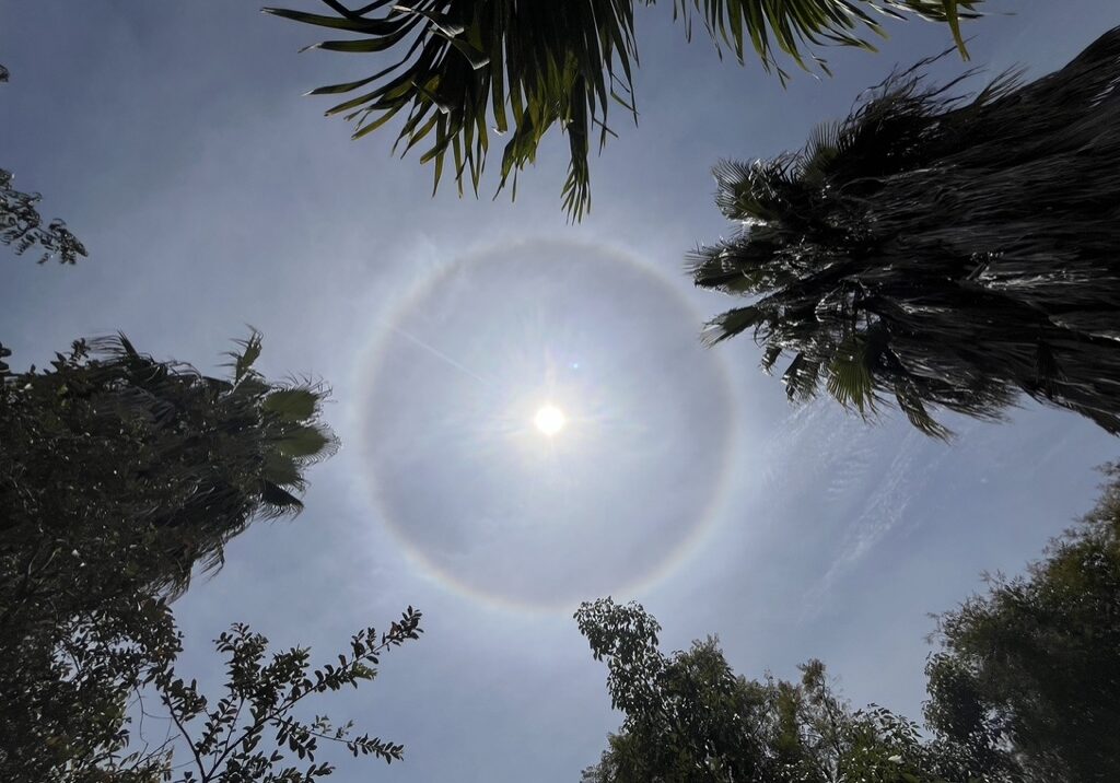 baja retreat, iboga, sundog, medicine spirit guides, iboga retreat FAQ