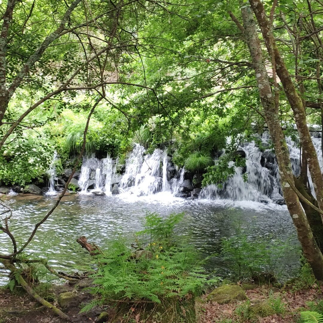 Iboga retreat, Portugal, waterfall, porto, Medicine Spirit Iboga Retreats